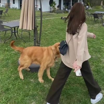 安妮·奥克利